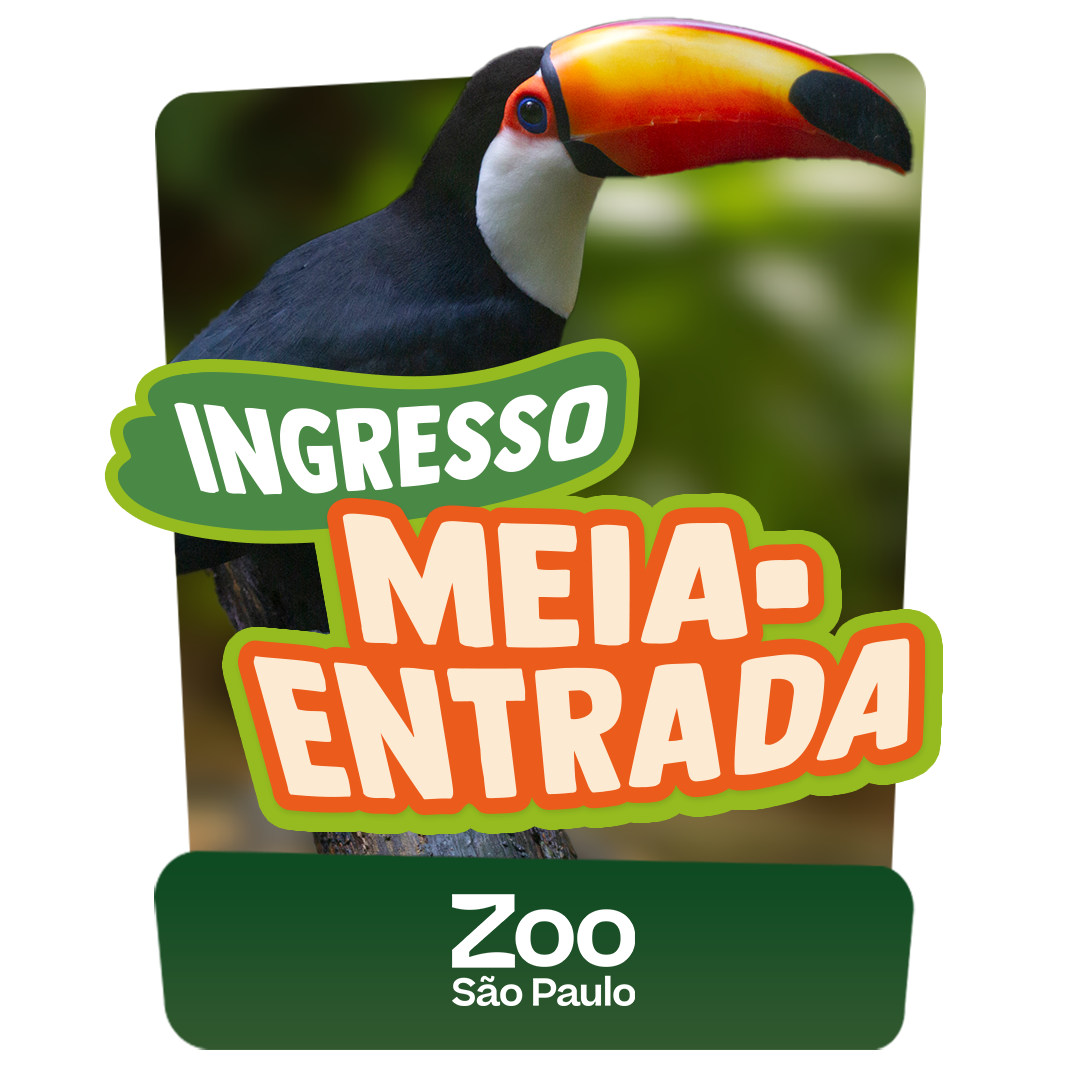 Promoção Todos Pagam Meia Entrada