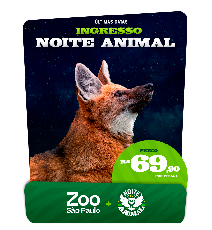 Experiência Noite Animal no Zoológico de São Paulo